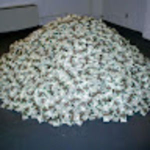 Meet your Posher, Mariam